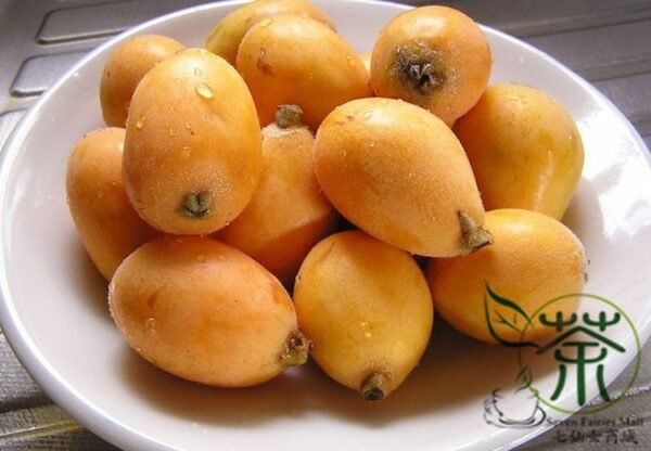 Eriobotrya Japonica, Chinese Plum Loquat Seed 50 PCS, Japanese Medlar Pipa - Image 9