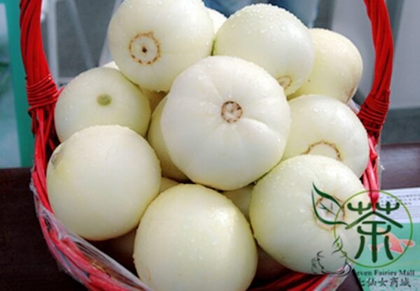 Cucumis Melo, Sweet Melon Seed 1000 PCS, Baitiangua - Image 9