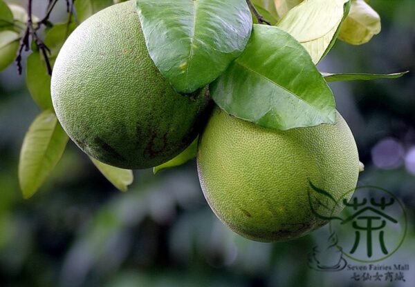 Corsican Citron, Diamante Citron Seed 200 PCS, Fruit Seeds Xiangpao - Image 7