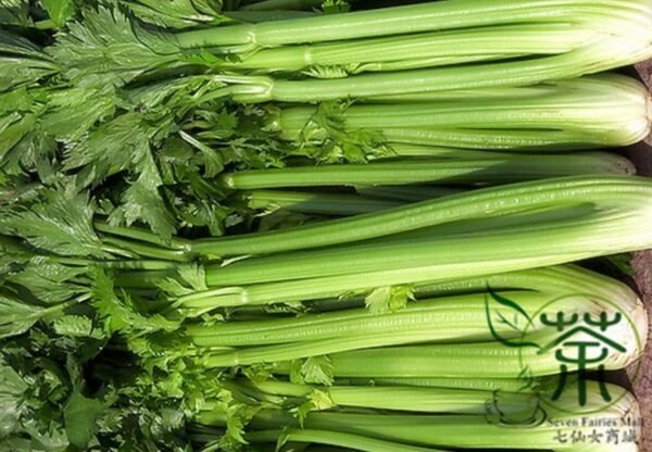 Seasons Celery, Apium Graveolens Seed 2000 PCS, Xiqin - Image 9