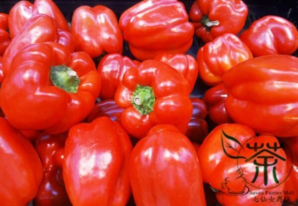 Red Bell Pepper, Capsicum Annuum Seed 2000 PCS, Sweet Pepper Hongtianjiao - Image 9