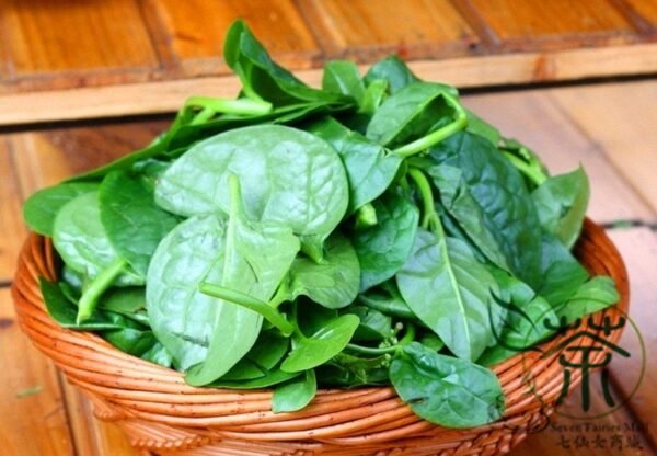 Malabar Spinach, Basella Alba Seed 2000 PCS, Ceylon Spinach Muercai - Image 8