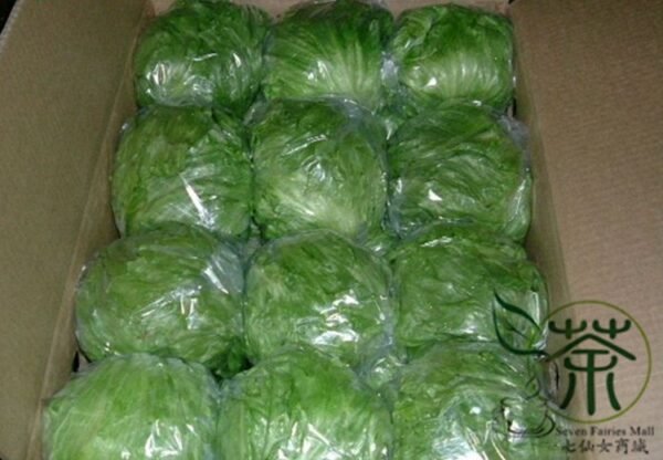 Lactuca Sativa, Lceberg Lettuce Seed 5000 PCS, Jieqiu Shengcai - Image 8