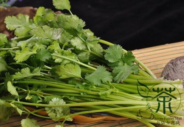 Cilantro Coriander, Coriandrum Sativum Seed 3000 PCS, Xiaoye Xiangcai - Image 9