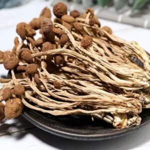 Dried Tea Plant Mushrooms 100g Pure Natural Agrocybe Aegerita Great Quality