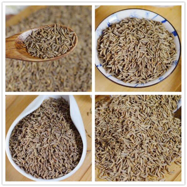 Premium Cumin Whole Dried Seeds 100g Cuminum Cyminum Pure Natural Herb - Image 4