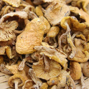 Dried Wild Lentinus Edodes 100g Premium Yellow Champignon Very Delicious