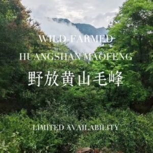 Handmade Wild-Farmed 250g Huangshan Maofeng Green Tea Gongfu Cha, China Tea, Chinese Tea